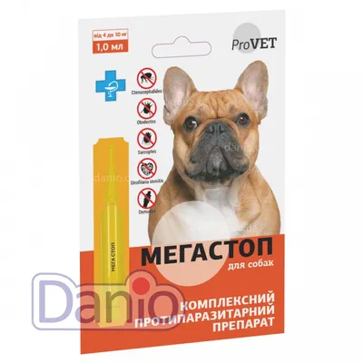 Инвазионные болезни собак - Donik Style Kennel