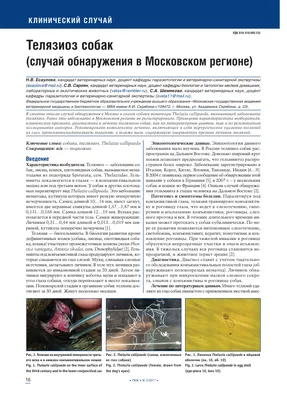 Антигельминтик Дронтал Плюс для собак со вкусом мяса – купить в Москве,  цены | Интернет-магазин Динозаврик