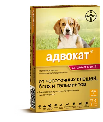 Телязиоз собак (случай обнаружения в Московском регионе) – тема научной  статьи по ветеринарным наукам читайте бесплатно текст  научно-исследовательской работы в электронной библиотеке КиберЛенинка