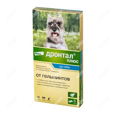 Милпразон KRKA антигельминтик для собак крупных пород - 2 шт - купить в  Москве | КотМатрос