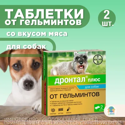 https://planimal.ru/pfizer-strongkhold-dsobak-26---5-kg-3-pipkh025-ml30mg-tsena-za-1-pip/