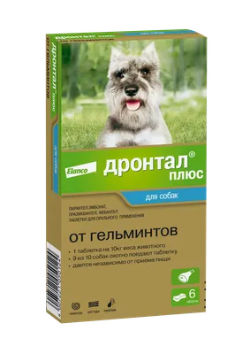 Мильбемакс таблетки от глистов для щенков и мелких собак - 2 таблетки -  купить в Москве | КотМатрос