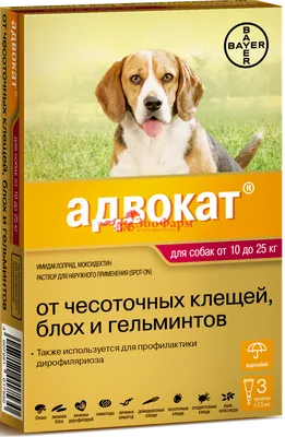 Купить Дронтал плюс XL со вкусом мяса для собак крупных пород 2 таб. (1  таб. на 35 кг) в зоомагазине ПоводОК.