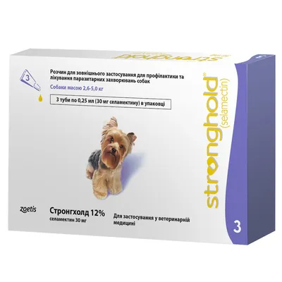 Глисты у собак: : симптомы и признаки, как вылечить
