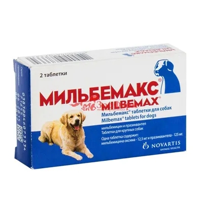 Глисты у собак виды (59 фото) - картинки sobakovod.club