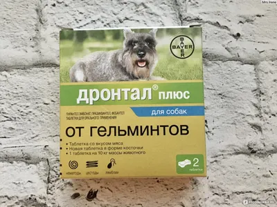 Класс Нематоды Nematoda. - ppt video online download