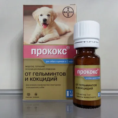 Антигельминтики Bayer Дронтал + со вкусом мяса для собак - «Нашу собаку не  проведёшь, или жалкие попытки скормить таблетку ?.» | отзывы