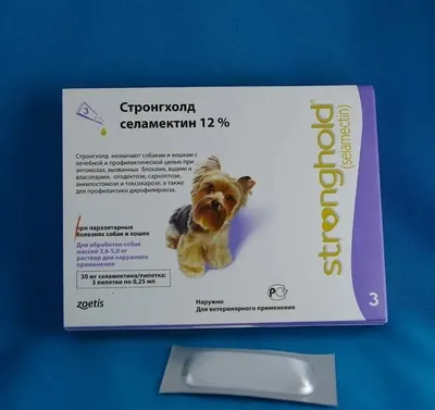 Дирофиляриоз у собак - лапа помощи - Оптово-розничная база ветпрепаратов.  Ветаптека. ООО НПП Велес