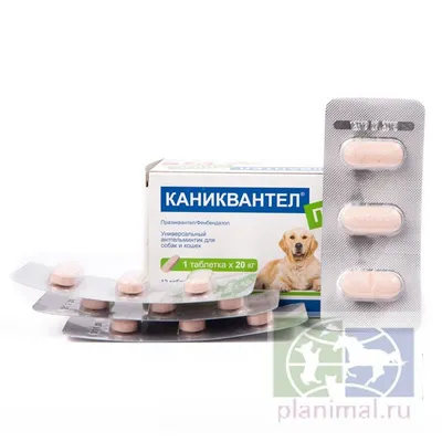 Антигельминтик для собак Elanco Дронтал плюс 2таблетки купить по цене 729 ₽  с доставкой в Москве и России, отзывы, фото