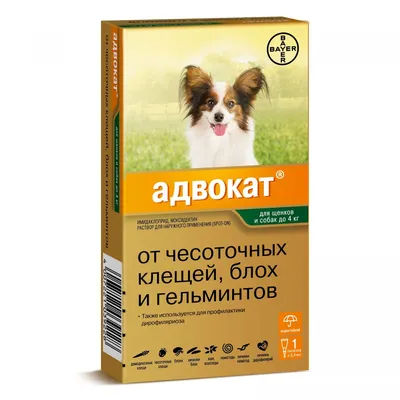 Ветеринарная Клиника Архангельск - Глисты у собак и кошек: риски и  распространенные способы борьбы Собаки и кошки подвержены заражению  гельминтами. Многие виды паразитов приспособлены к паразитированию в  человеческом организме. Чтобы избежать проблем