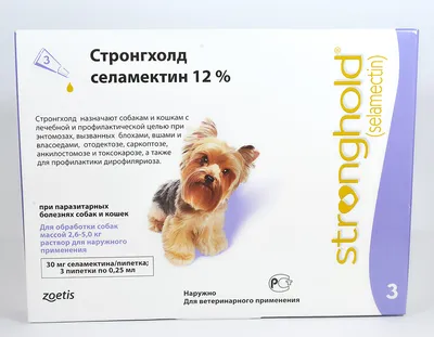 Глисты у кошек, причины, симптомы, лечение - ветклиника \"в Добрые Руки\"