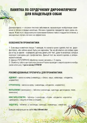Дронтал плюс XL, для крупных собак, 1 упаковка купить по низким ценам в  интернет-магазине Uzum (325423)