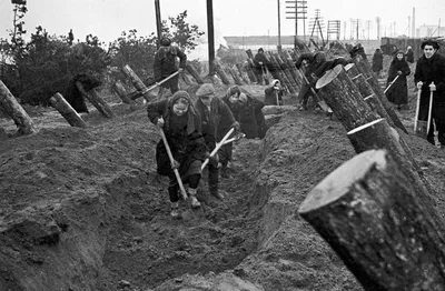 Крах блицкрига у стен Москвы: почему немцы не верили в возможность  советского контрудара - Мнения ТАСС