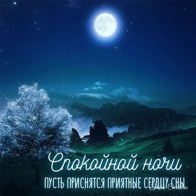 Прикольные открытки \"Спокойной ночи!\" (229 шт.)