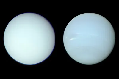 Hubble's Observation of Neptune in 2021 | ESA/Hubble