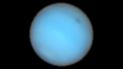 New moons of Uranus and Neptune announced | Carnegie Science