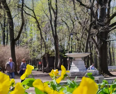 Детские площадки в Нескучном Саду, Парке Горького и Музеоне (29 фото),  автор: MIA - фотоальбом - Отдых с детьми - OSD.RU