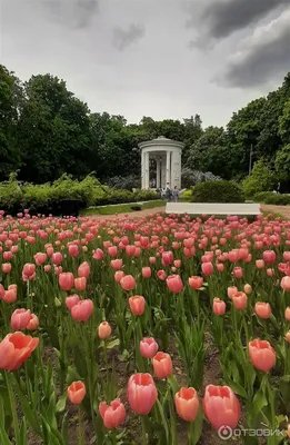 Нескучный Сад в Москве | Что посмотреть, история, фото