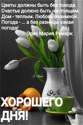 O.kg - До сих пор нет новогоднего настроения? 🤔 ✓ Пройдись по нашему  чек-листу! Вдруг ты что-то упустил? Дополняй список в комментариях! ⬇️ |  Facebook