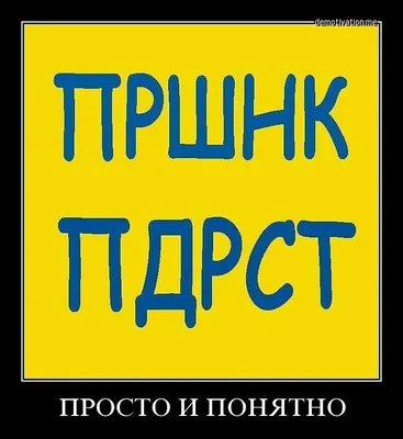 Кинопремьера «Саша и Питер»: гопники города Питера, или Невеселые прогулки  с дворнягой | KM.RU