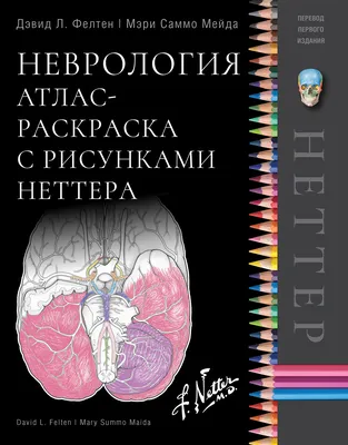 Неврология | ЧУЗ «КБ «РЖД-Медицина» им. Н.А. Семашко»