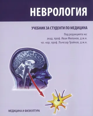 Внутри Человека Неврология Исследовательской Концепции, Рассматривающим  Разум Человека, Чтобы Излечить Потерю Памяти Или Клеток Из-за Деменции И  Других Неврологических Заболеваний, Как Отверстие В Форме Мозга В Цементной  Стены С Нейронами. Фотография ...