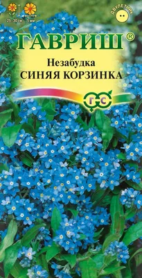 Незабудка лесная Сильва синяя Myosotis sylvatica Bluesylva - купить семена  цветов с доставкой по Украине в магазине Добродар