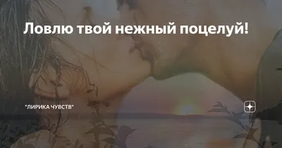 Целоваться влюбленной парой. романтическое свидание. чувственный поцелуй  двух влюбленных. Люди в отношениях расслабляются вместе. наслаждаясь  обществом друг друга. сладкий и нежный поцелуй. мужчина и женщина стоковое  фото ©stetsik 423163534