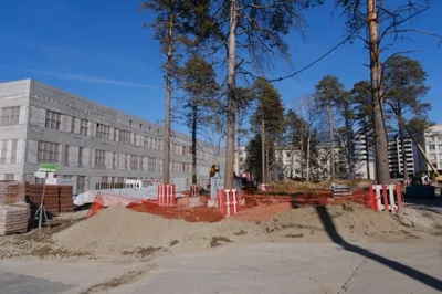 Новосибирский Академгородок. Внутренний двор НГУ. Первые числа мая | Пикабу