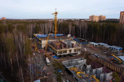 Ректор НГУ заявил о необходимости сделать Новосибирск городом федерального  значения | Atas.info | Дзен