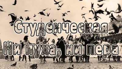 Купить Ни пуха, ни пера. Студенческие и туристские песни, издательство  \"Композитор\" в Екатеринбурге | Природа звука