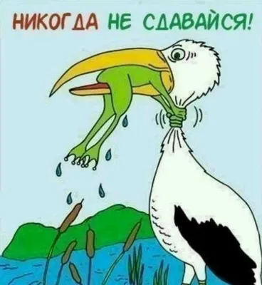 Никогда не сдавайся!!! | Пикабу