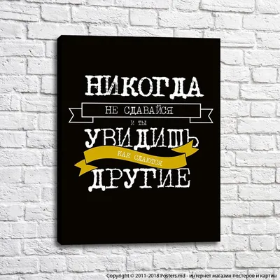 Никогда не сдавайся! Ладно, сегодня сдайся, но больше никогда не сдавайся |  Пикабу