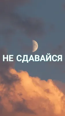 Не сдавайся