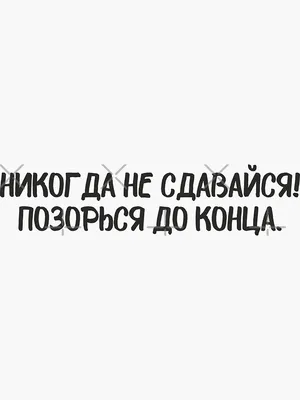 Футболка с надписью Никогда не сдавайся позорься до конца