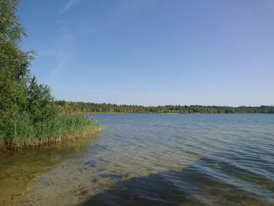 Семейный, детский и свадебный фотограф Николаевка (Ульяновская область