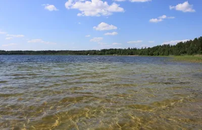 Экран в городе Николаев #214407 по адресу Мира/ул.Строителей (р-н  автовокзала, рынок Колос)