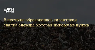 Иллюстрация 8 из 17 для Никому не нужна. Свободна - Людмила Петрушевская |  Лабиринт - книги. Источник: Лабиринт