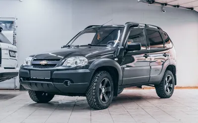 Бортжурнал Chevrolet Niva Цвет(Млечный путь)17i