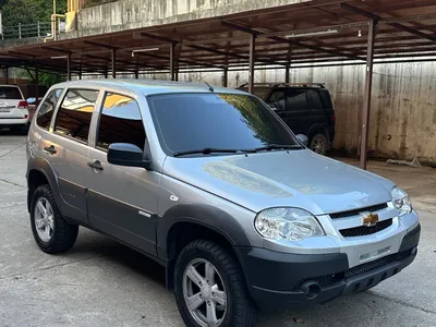 Пример покраски городской камуфлж Раптор для Chevrolet Niva —  «АвтосервисПрофи»