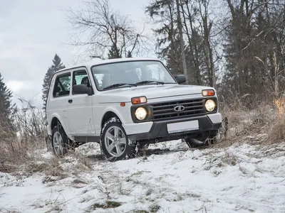 Передняя дверь левая \"АвтоВАЗ\" Лада Нива 4х4 ВАЗ 2131 (неокрашенная) купить  по низкой цене в интернет-магазине с доставкой