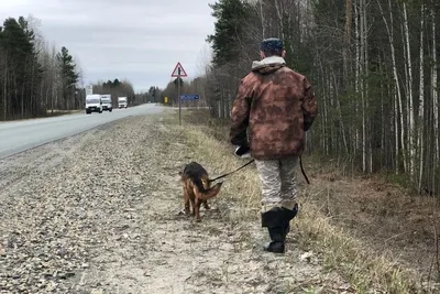 Управление ЗАГС Администрации г. Нижневартовск, ЗАГС, просп. Победы, 18,  Нижневартовск — Яндекс Карты