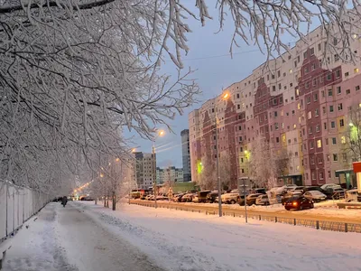 В Нижневартовске будут решать вопрос о целесообразности содержания  спортивных площадок зимой | 03.03.2023 | Нижневартовск - БезФормата