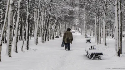 Г.Нижневартовск р Обь. Идём на рыбалку с утра через туман | Пикабу