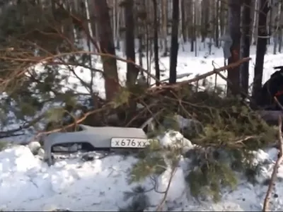 На трассе Тюмень - Нижняя Тавда в страшном ДТП погибли 24-летняя девушка и  собака - KP.RU