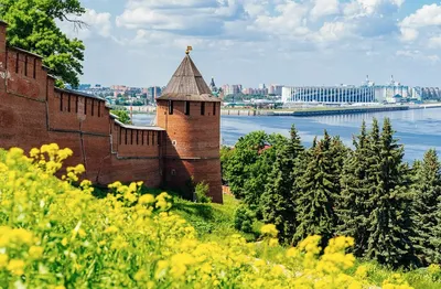 Нижний Новгород, улица Грузинская. Синагога и очаровательные заброшки -  спешите видеть | Деревенская путешественница | Дзен