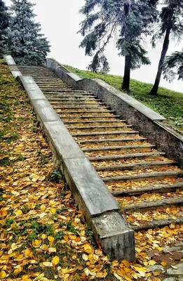 Нижний Новгород вошел в топ-пять городов для отдыха осенью