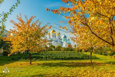 Осень в Нижнем Новгороде | Серафимова Земля