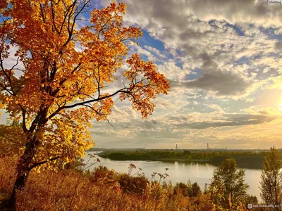 👍 Осенняя красота Нижнего Новгорода Нижний Новгород — один из древнейших  городов России, город контрастов, где старые купеческие улочки… | Instagram