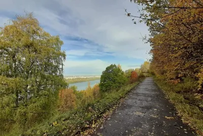 Теплая осенняя погода ожидается в Нижнем Новгороде на предстоящей рабочей  неделе | 24.09.2023 | Нижний Новгород - БезФормата